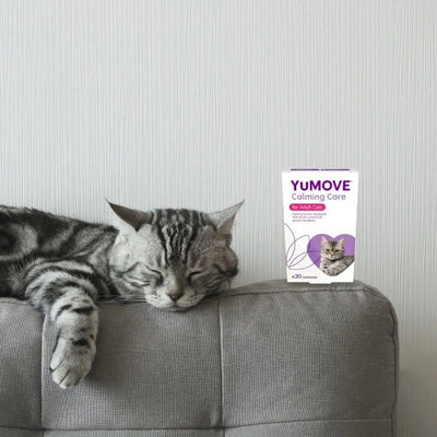 Calming Care for Cats Calming 30 capsules 2