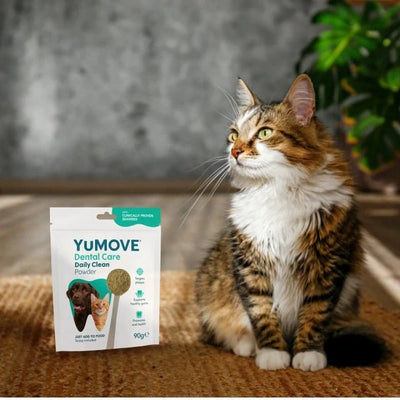 Dental Care Daily Clean Powder Dental Powder 90g Pouch 2