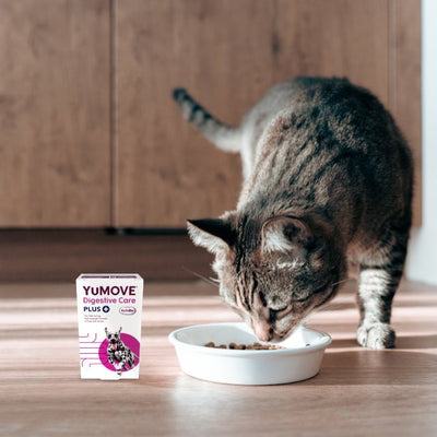 Digestive Care PLUS For Dogs and Cats Digestive Health 2