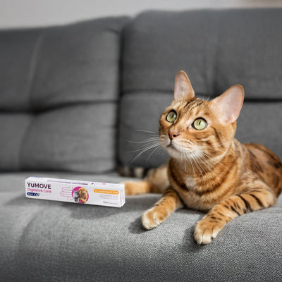 Digestive Care Rapid Digestive Health 2