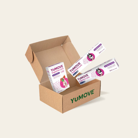 Digestive Bundle Bundle