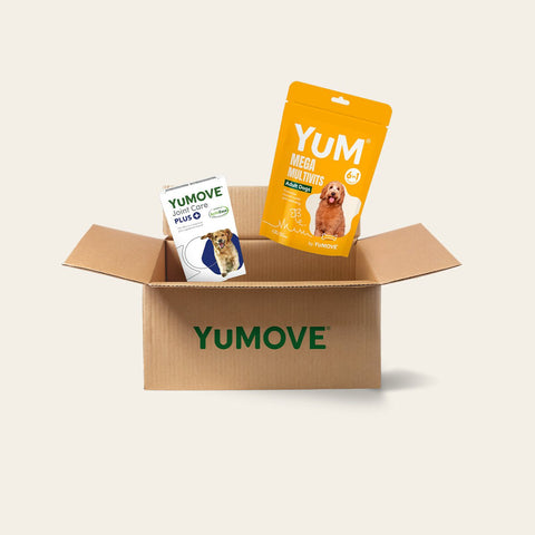 Adult Dog Bundle Lite Bundle