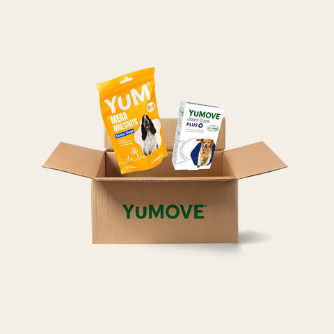 Senior Dog Bundle Lite Bundle