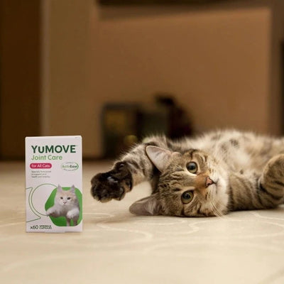 Joint Care for All Cats Joints 60 Capsules 2