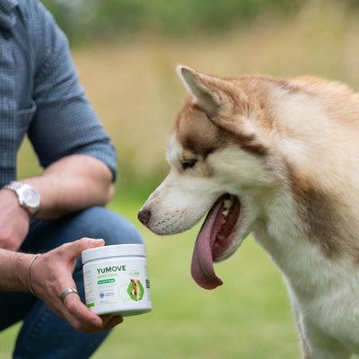 Joint Care Daily Bites for Adult Dogs Joints 150 soft bites 2