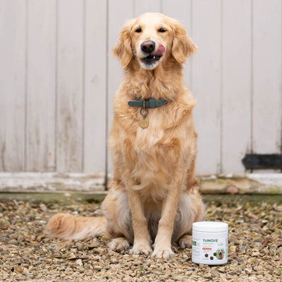 Joint Care Daily Bites for Young Dogs 150 soft bites 2