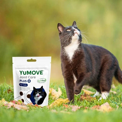 Joint Care PLUS Bites for Cats Joints 30 Bites 2