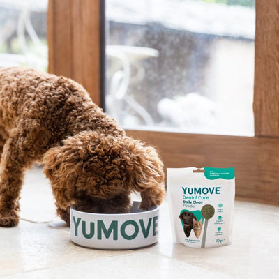 YuMOVE Dental Care Daily Clean Powder Dental Powder 90g Pouch 2