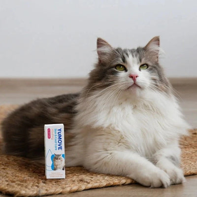 Skin & Coat Care Moulting for Cats Skin & Coat 50ml 2