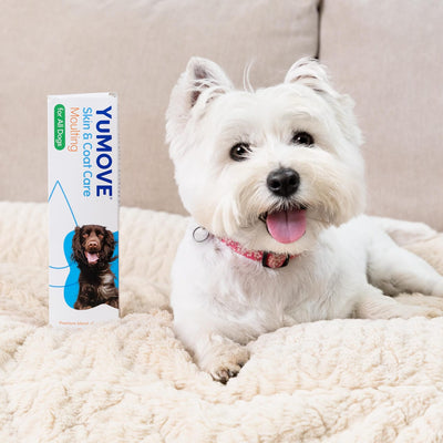 Skin & Coat Care Moulting for Dogs Skin & Coat 500ml 2