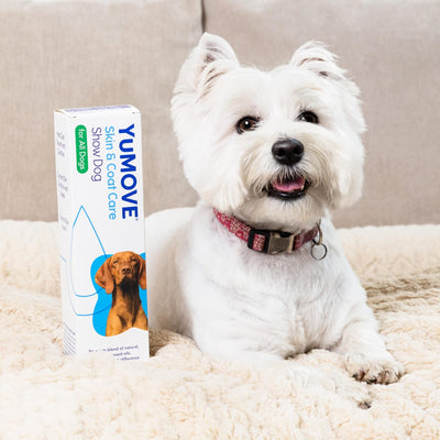 Skin & Coat Care for Show Dogs Skin & Coat 500ml 2