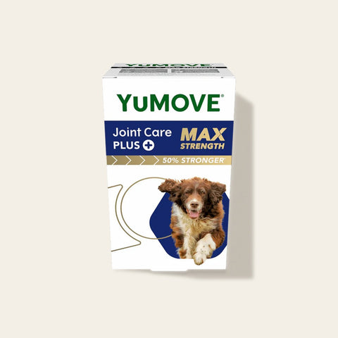 Joint Care PLUS Max Strength for Dogs Joints
