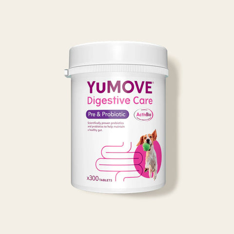 Digestive Care Pre & Probiotic - 300 Tablets Digestive Health 300 Tablets