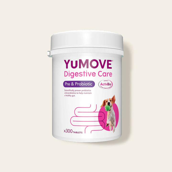 Digestive Care Pre & Probiotic - 300 Tablets Digestive Health 300 Tablets