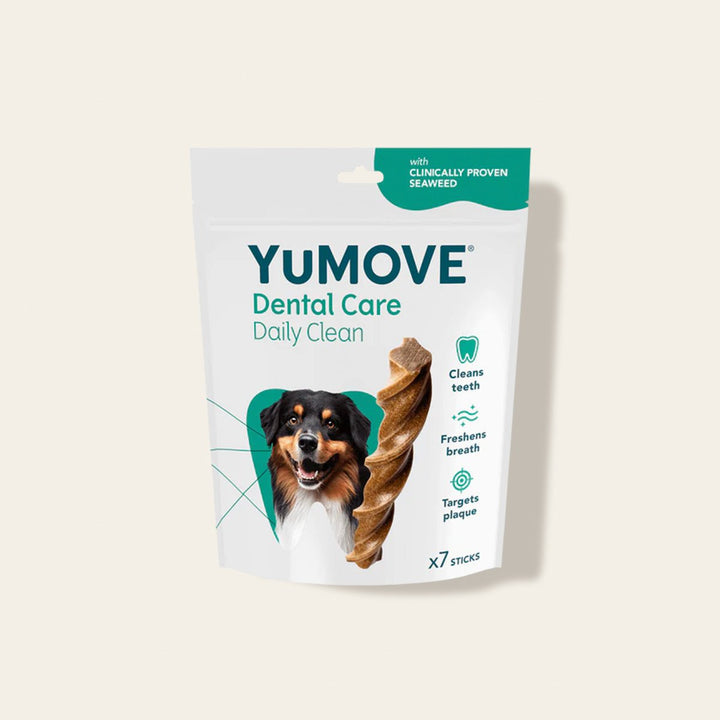 Dental Care Daily Clean Dental Sticks