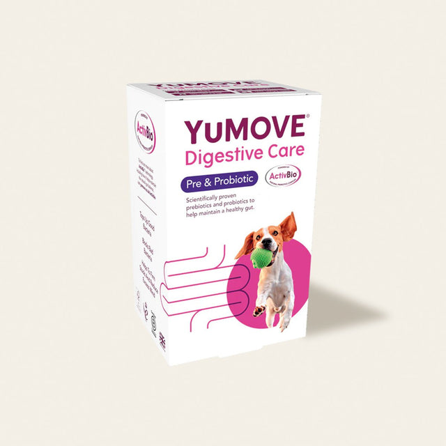 Digestive Care Prebiotic & Probiotic Tablets Digestive Health