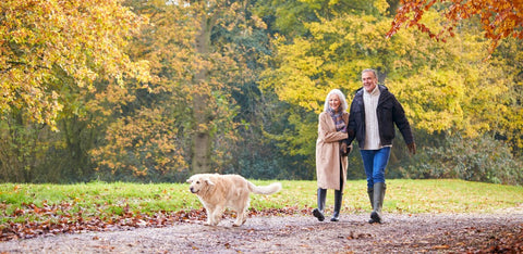 couple walking dog in autumn