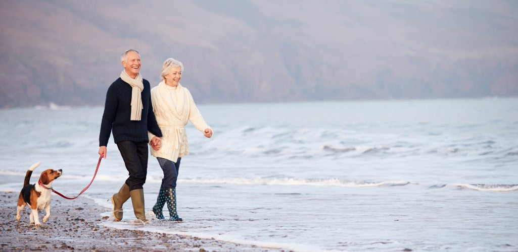 Couple walking along beach with dog