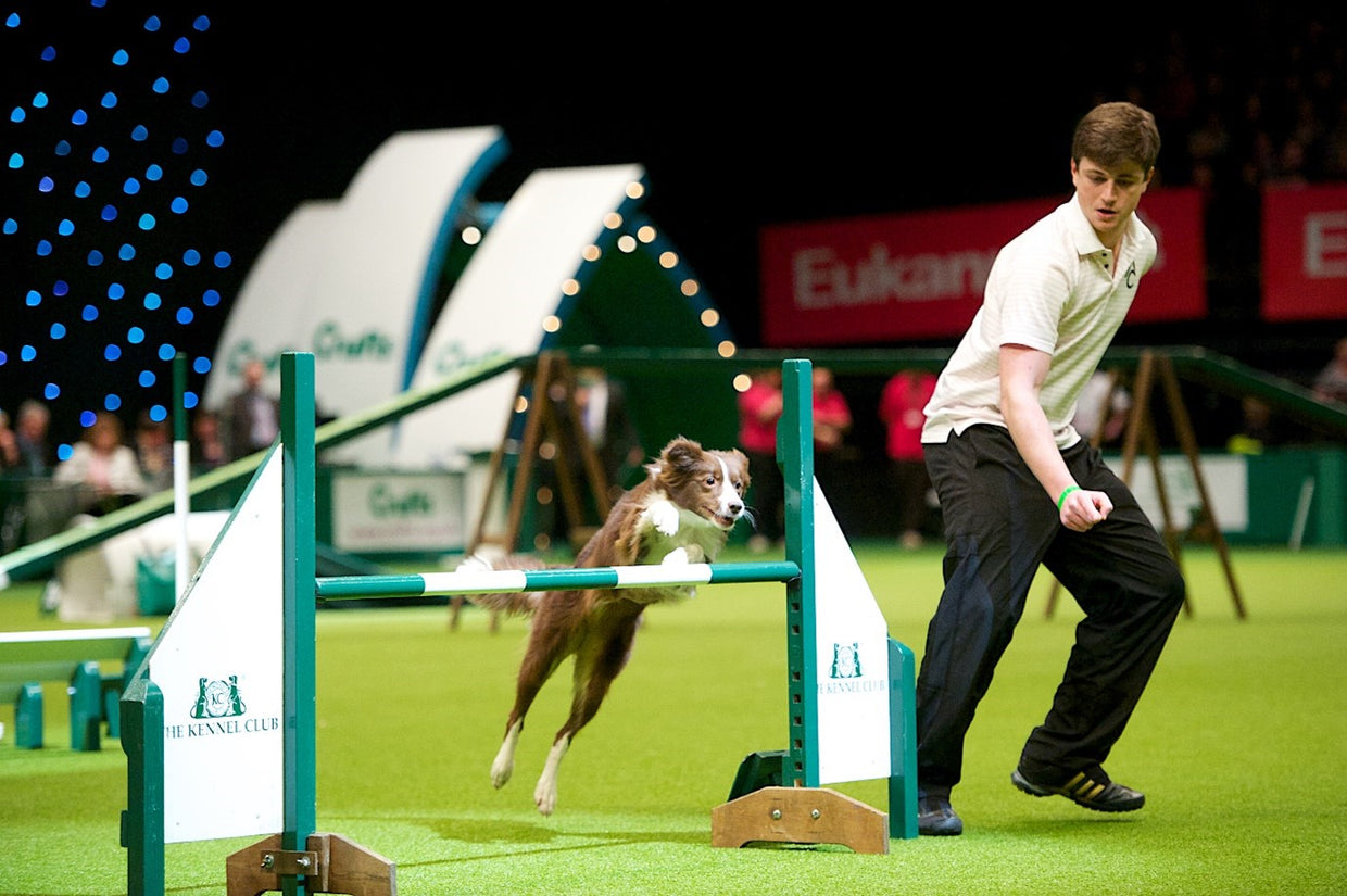 Proud Sponsors of Crufts 2022