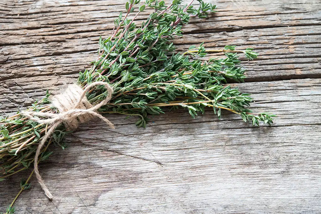 thyme for dogs dental care