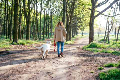 How nature benefits our mental health