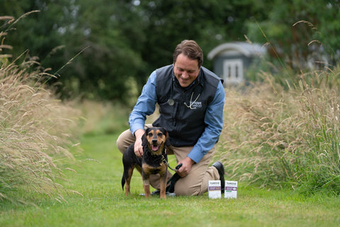 Managing your pet's mobility – multimodal plans