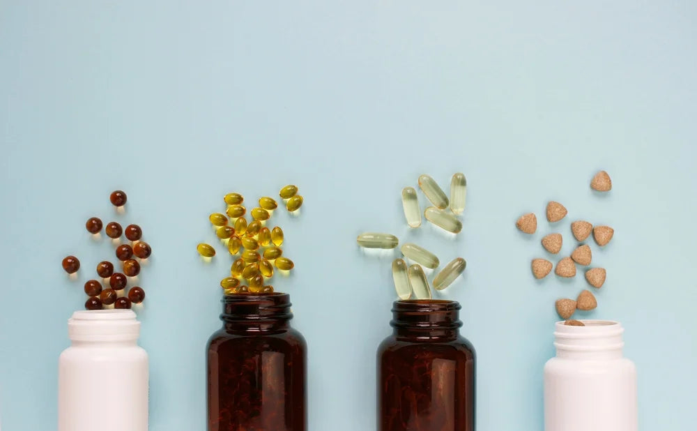 Different formats of probiotics for dogs