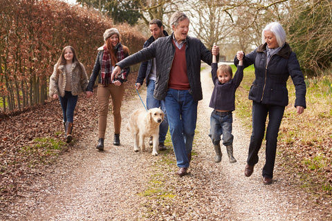 Couple walking in field with dog