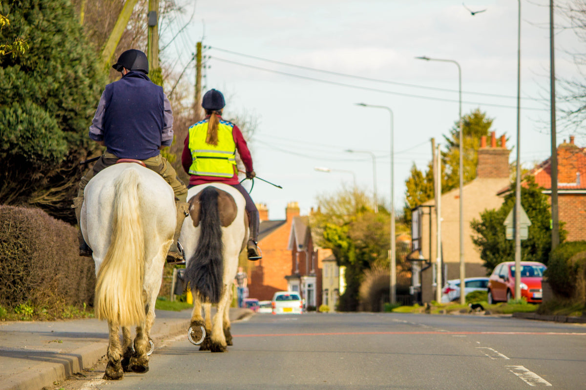 Hard ground and your horse's health