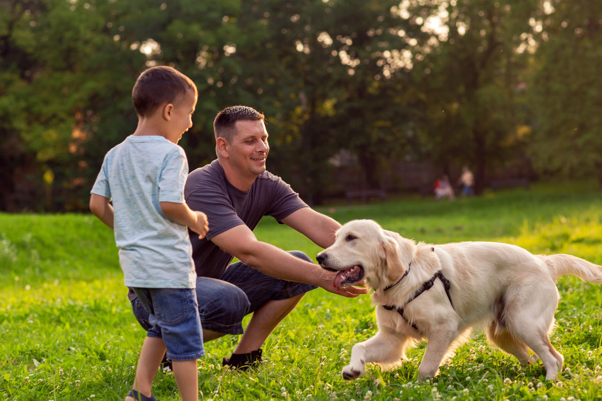 A dad playing with his dog and son