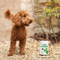 Joint Care for Adult Dogs - 300 Tablets Joints 300 Tablets bullet 2