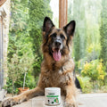Joint Care Daily Bites for Adult Dogs Joints 150 soft bites bullet 2