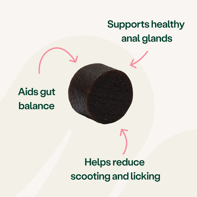 Digestive Support Anal Gland Health Bites for Dogs Digestive Health2