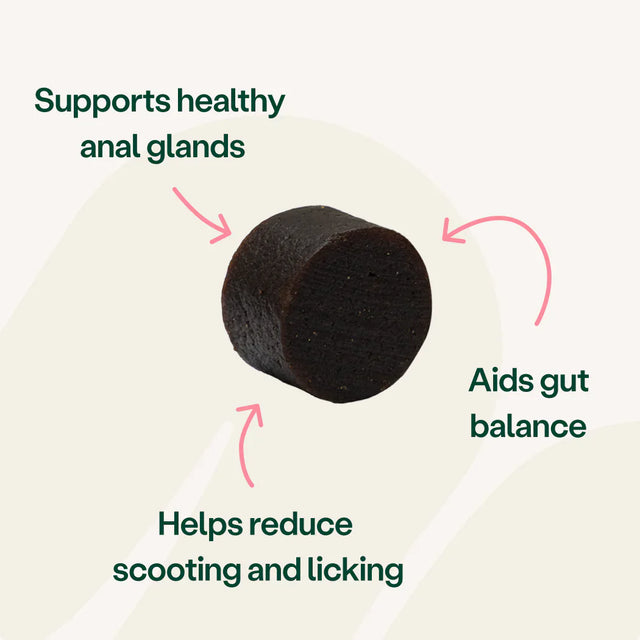 Digestive Care Anal Gland Health Bites Digestive Health2