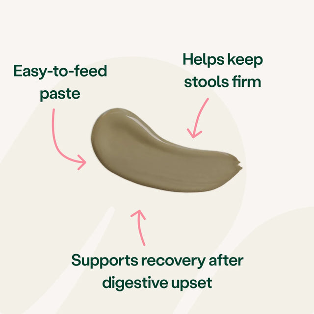 Digestive Support Rapid Paste for Dogs & Cats Digestive Health2