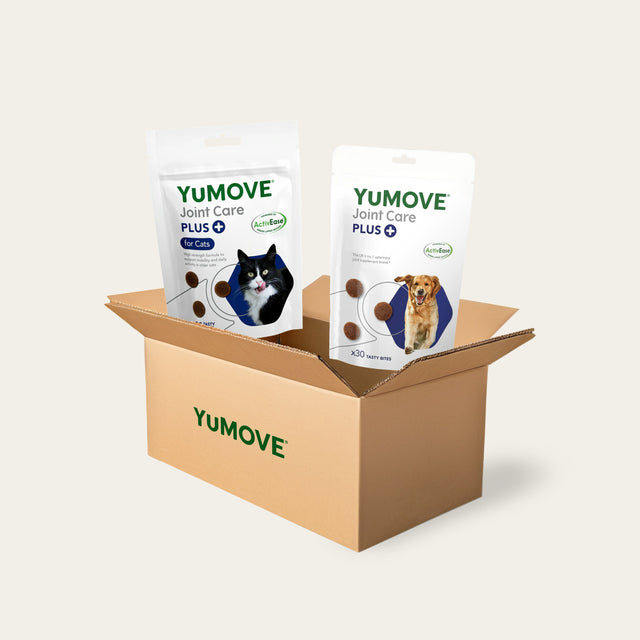 Dog & Cat Bundle Bundle1