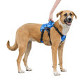 Buddy Up™️ Front Harness Mobility Aid bullet 1