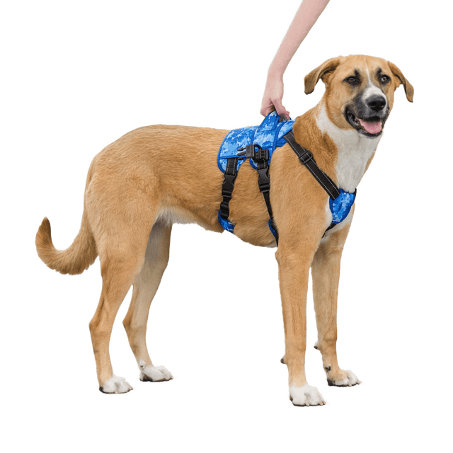 Buddy Up™️ Front Harness Mobility Aid1