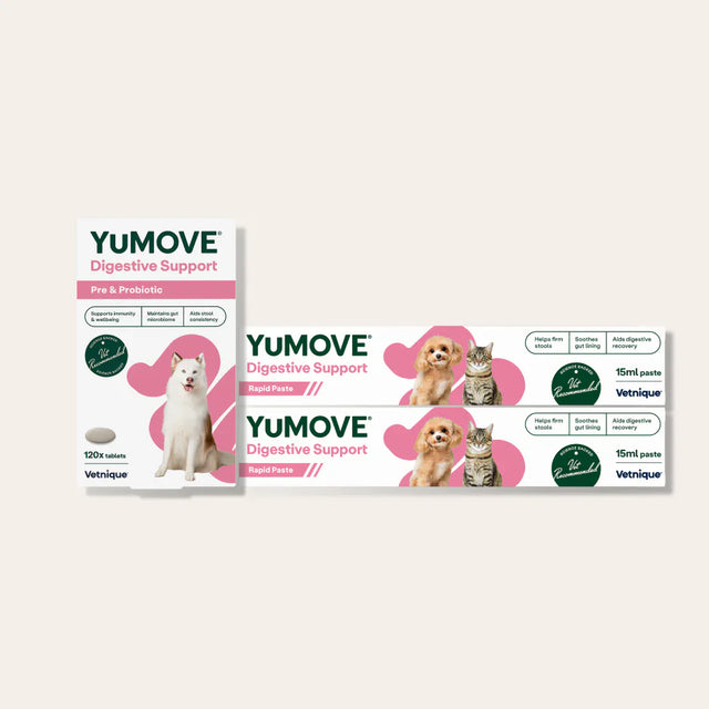 Digestive Bundle Bundle1