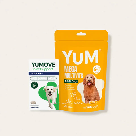 Two YUMOVE pet supplement products shown on a plain light beige background: a yellow stand-up pouch labeled 'YUM MEGA MULTIVITS Adult Dogs' with a dog photo, and a white box labeled 'YUMOVE Joint Support PLUS' with a white dog photo.