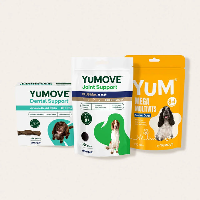 Senior Dog Bundle Bundle1