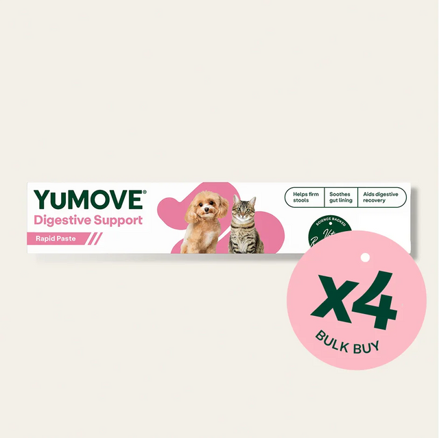 Digestive Care Rapid Bulk Buy 4 Pack Bundle1