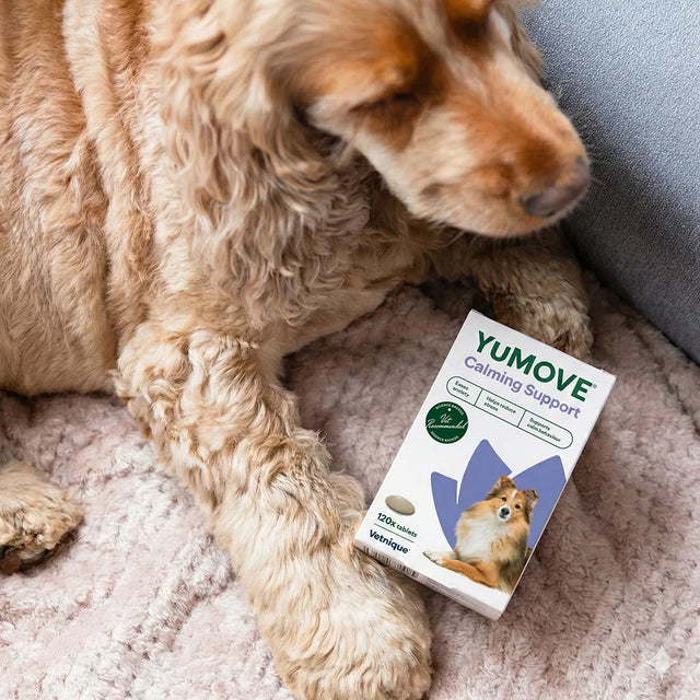 Calming Care for Adult Dogs Calming2