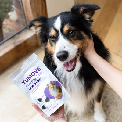 Calming Care One-A-Day for Dogs Calming 2