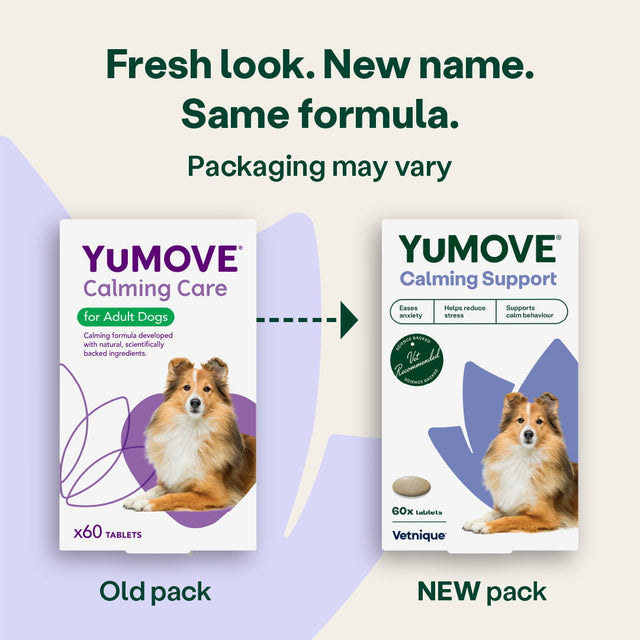 Calming Care for Adult Dogs Calming4