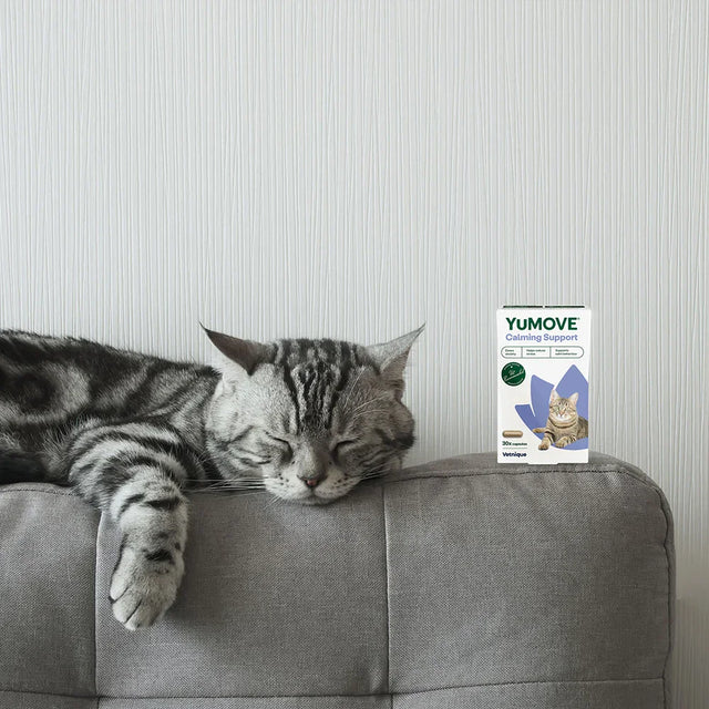 Calming Care for Cats Calming 30 capsules2