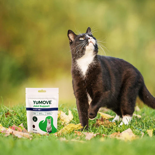 Joint Care PLUS Bites for Cats Joints 30 Bites2
