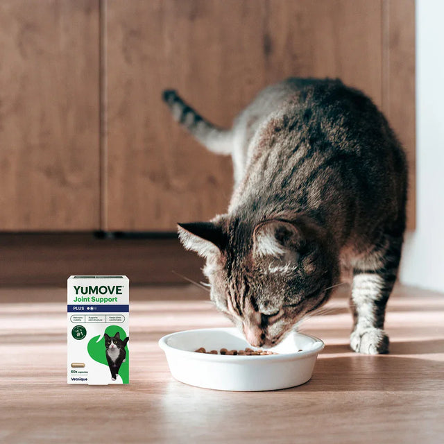 Joint Care PLUS for Cats Joints 60 Capsules2