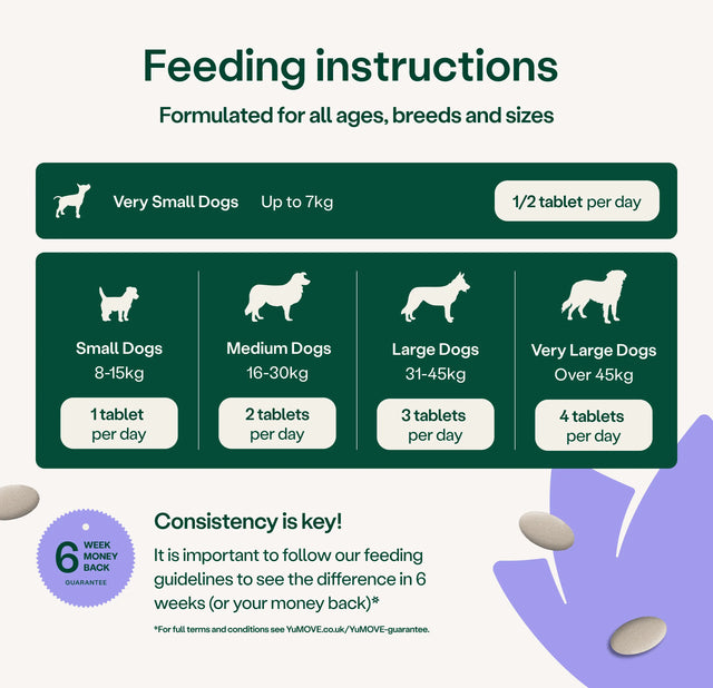 Calming Care for Adult Dogs Calming3
