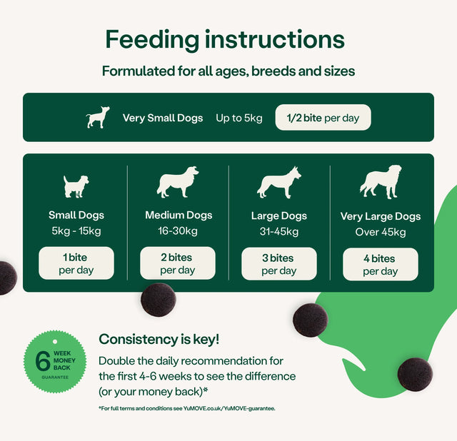 Joint Care Daily Bites for Senior Dogs 150 soft bites3